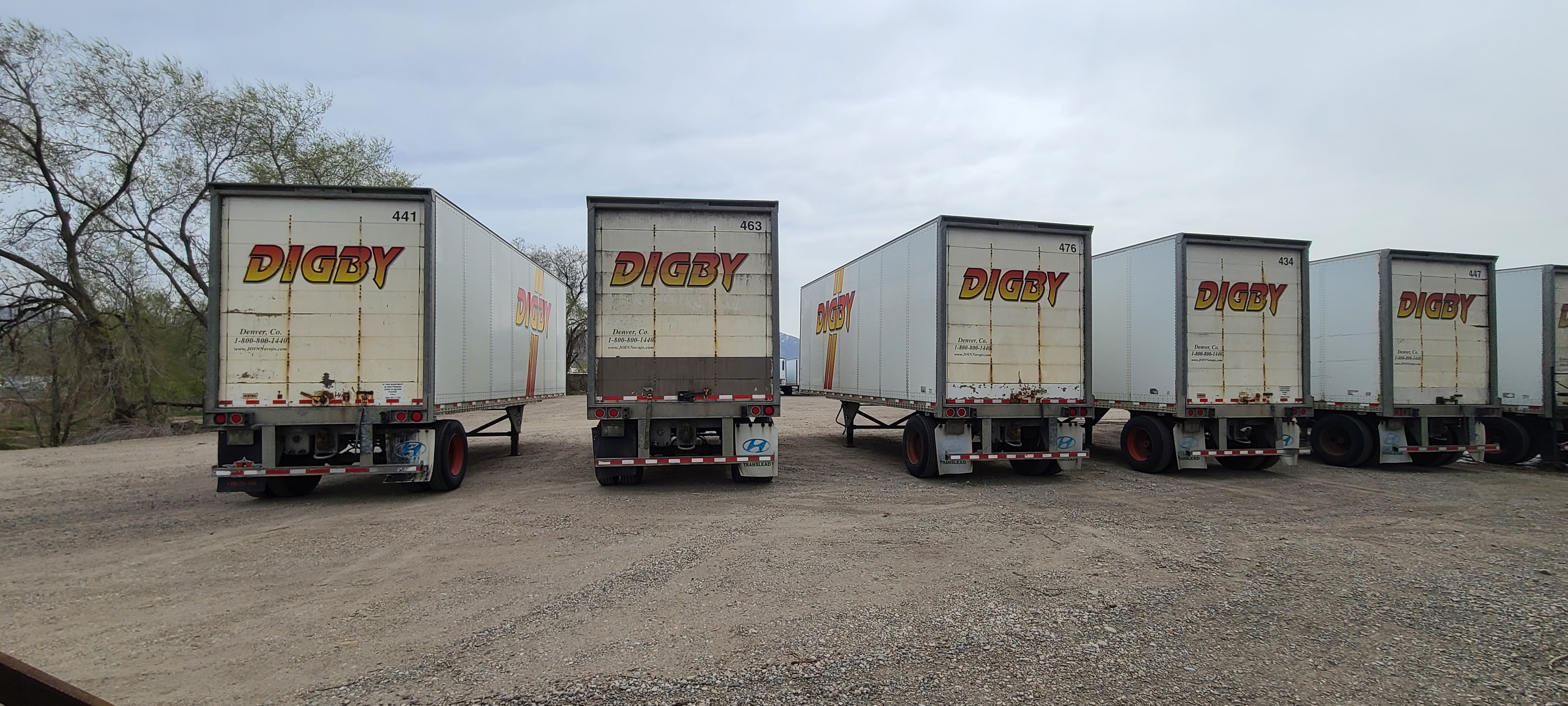 Five Digby pup trailers facing camera — rear doors showing weathered decals and road grime
